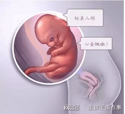 有偿代孕服务方式